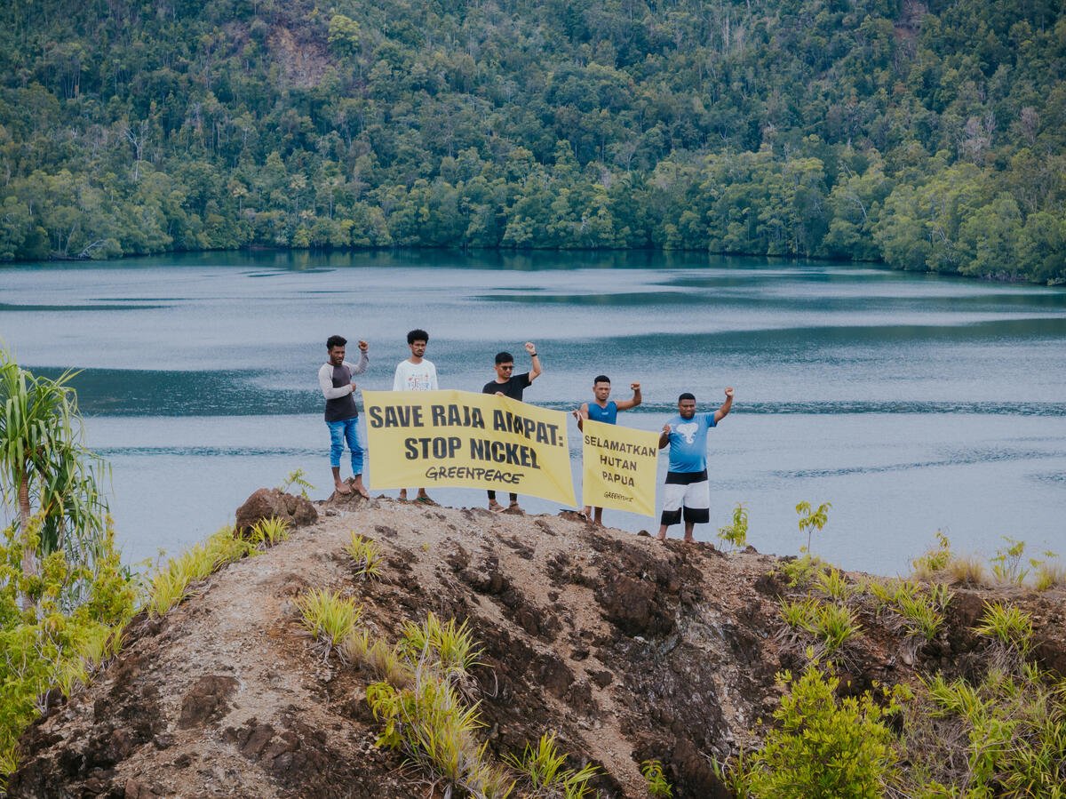 Greenpeace Desak Pemerintah Cabut Semua Izin Tambang Nikel di Raja Ampat