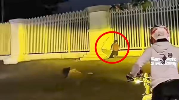 Geger Video Kawasan Stadion Pakansari jadi Tempat Mesum, Ini Fakta Sebenarnya