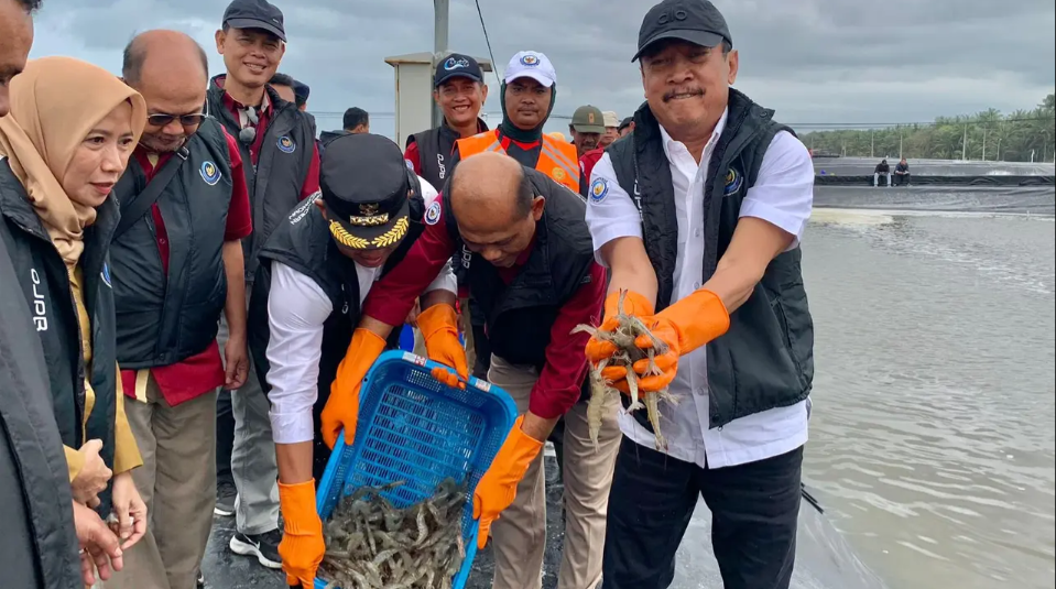 Jadi Produsen Udang Terbesar di Dunia, Ini Hambatan Terberat Indonesia